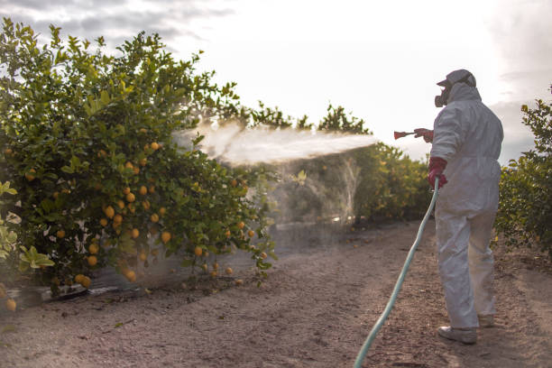 Best Best Pest Control Near Me  in Bertville, AL