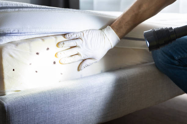  Bertville, AL Pest Control Pros